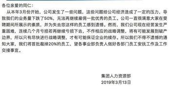 公司裁员最新的爆料新闻,最新爆料揭示公司大规模裁员内幕  第2张